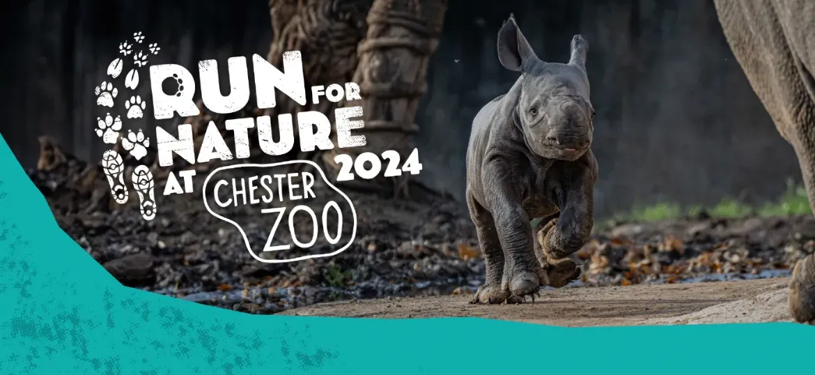 Run for Nature at Chester Zoo 2024